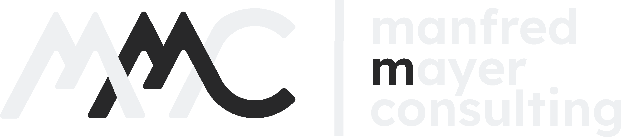 Manfred Mayer Consulting Logo