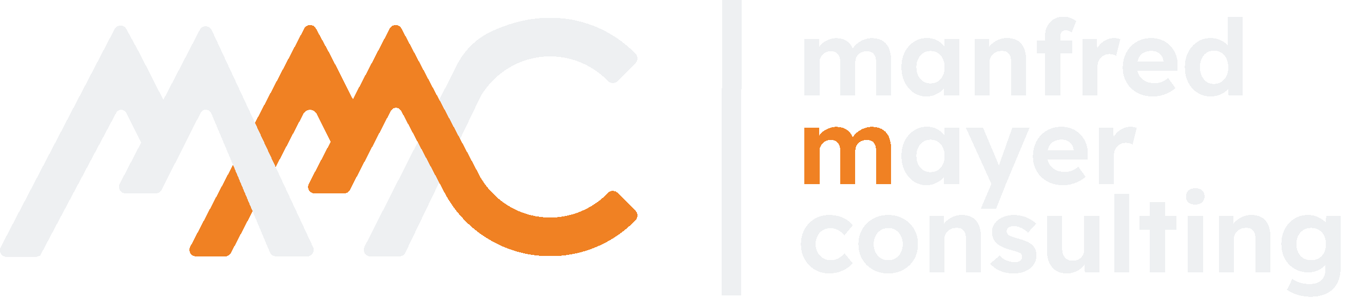 Manfred Mayer Logo